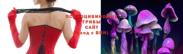 Альфа ПВП Надым