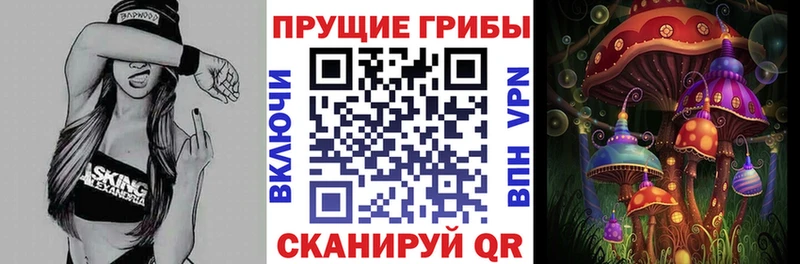 купить наркотики сайты  darknet клад  Галлюциногенные грибы мухоморы  Нарьян-Мар 