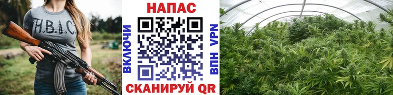 магазин продажи   Нарьян-Мар  Конопля планчик 