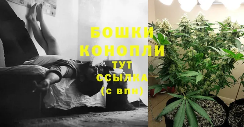 Канабис THC 21%  Нарьян-Мар 